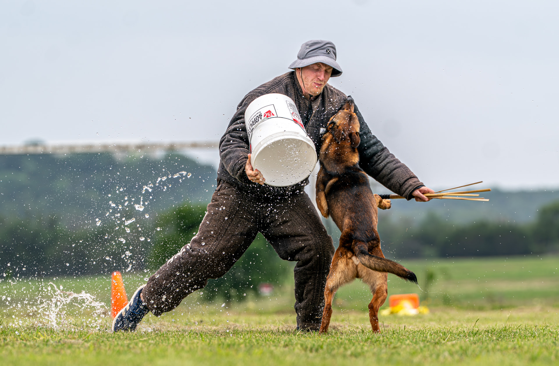 Dog Sports photography by High $takes Media